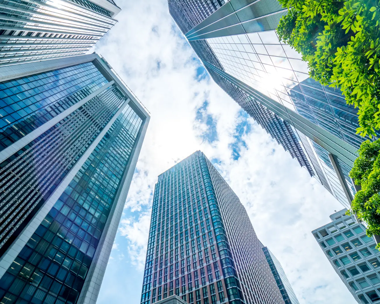 事業実績についての写真